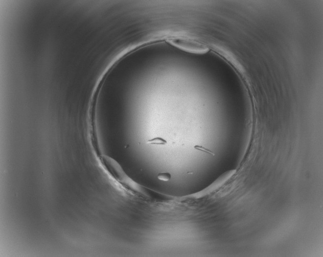 X0000073831056200608101158