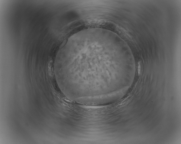 X0000073831059200608101157