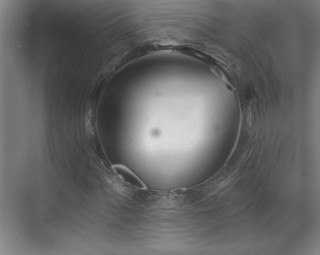 X0000073831060200608101157