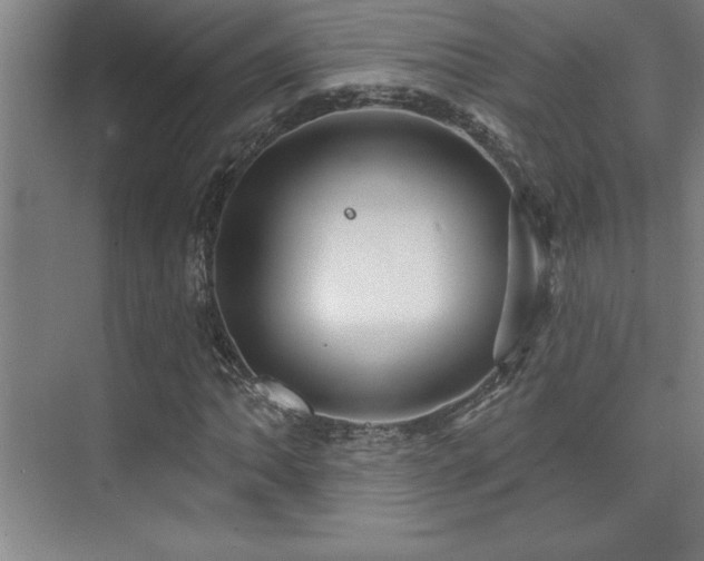 X0000073831062200608101157