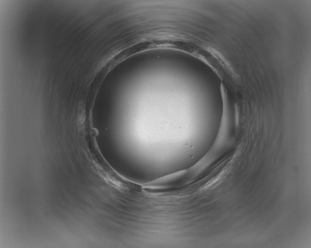 X0000073831065200608101157