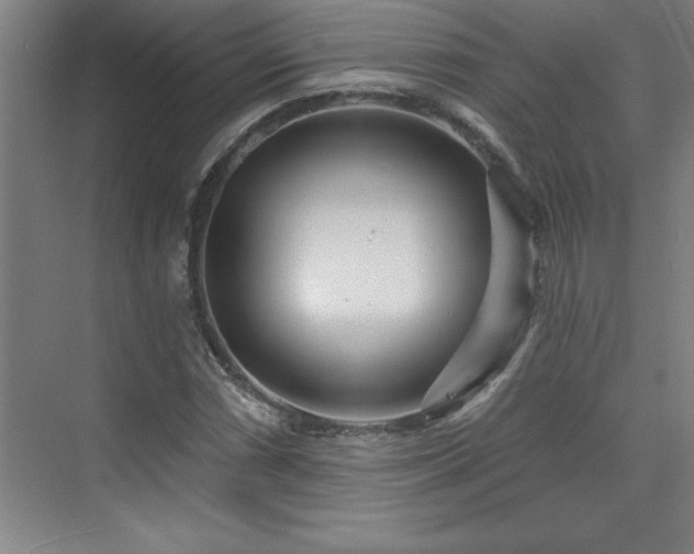 X0000073831066200608101157