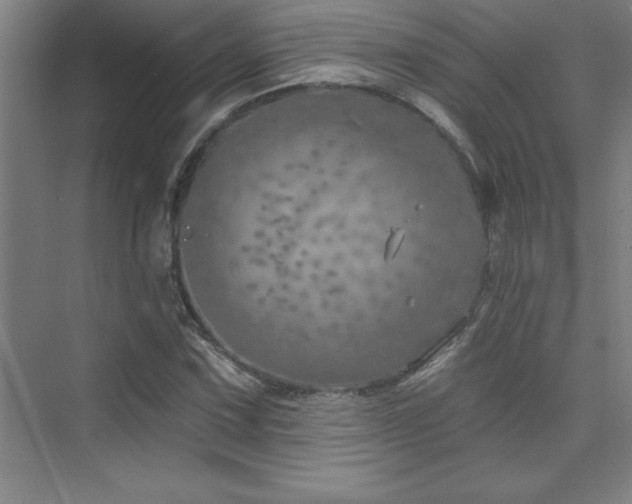 X0000073831067200608101157