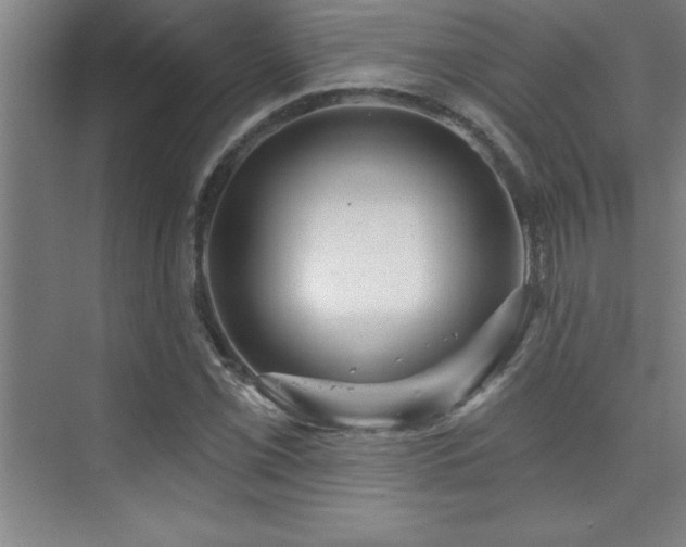 X0000073831069200608101157