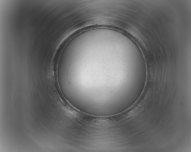 X0000073831070200608101157