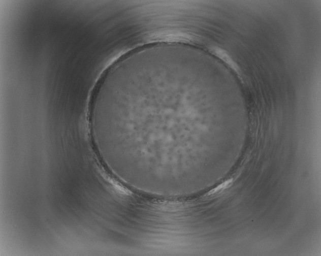 X0000073831071200608101157