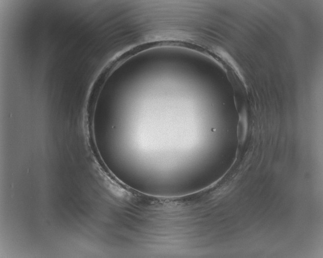 X0000073831072200608101157