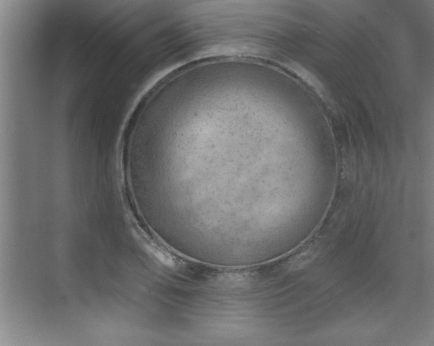 X0000073831078200608101157