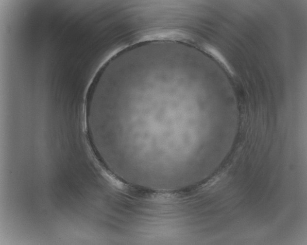 X0000073831079200608101157