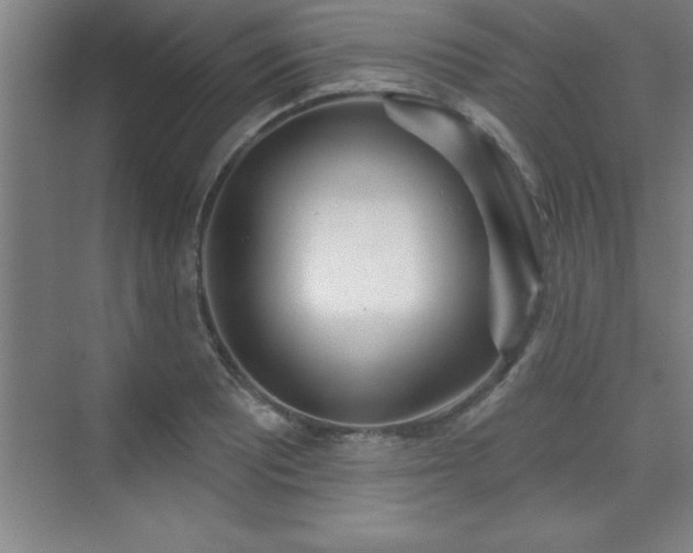 X0000073831081200608101157