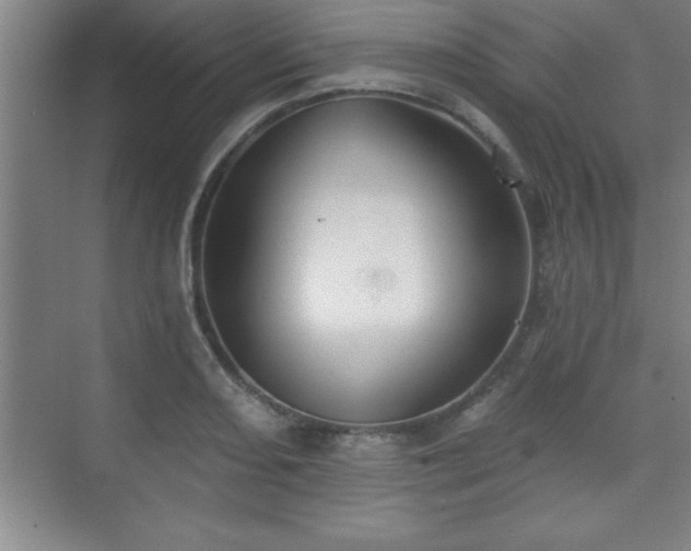 X0000073831082200608101157