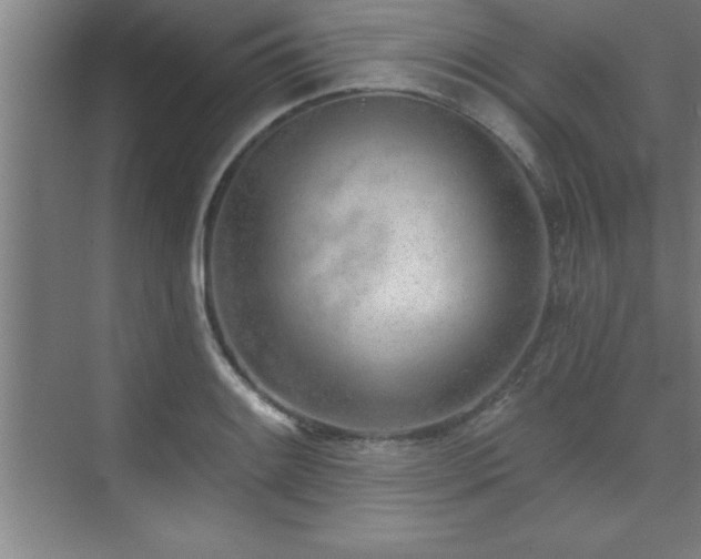 X0000073831084200608101157