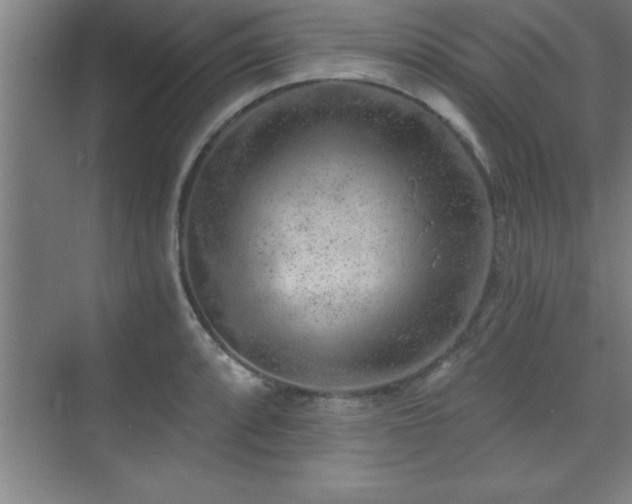 X0000073831088200608101157