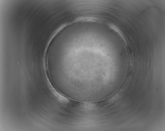 X0000073831090200608101157