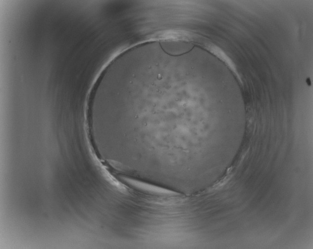 X0000073831091200608101157