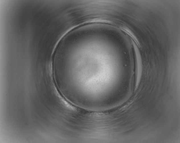 X0000073831092200608101157