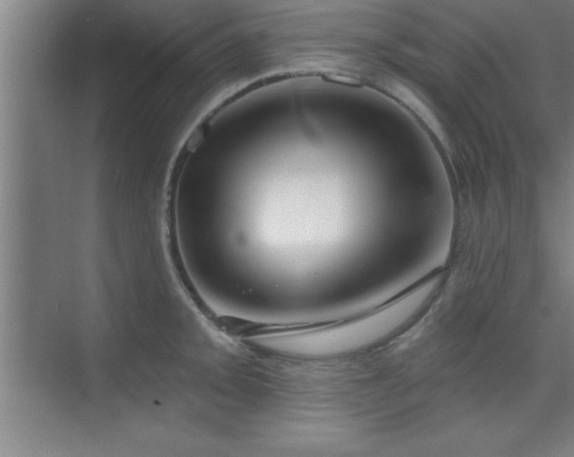 X0000073831093200608101157