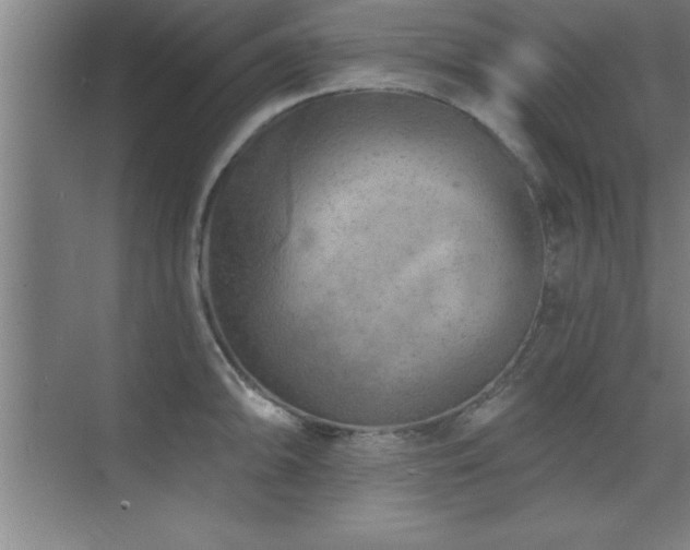 X0000073831094200608101157