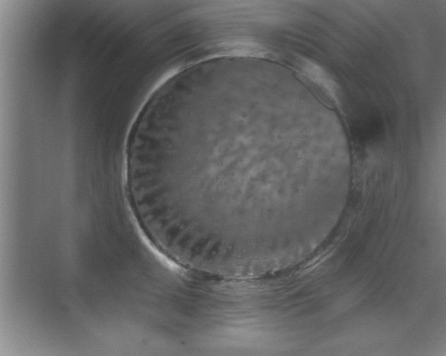 X0000073831095200608101157