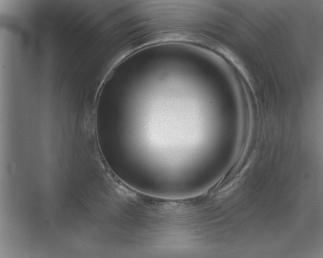 X0000073831097200608101157