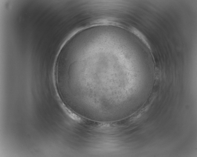 X0000073831098200608101157