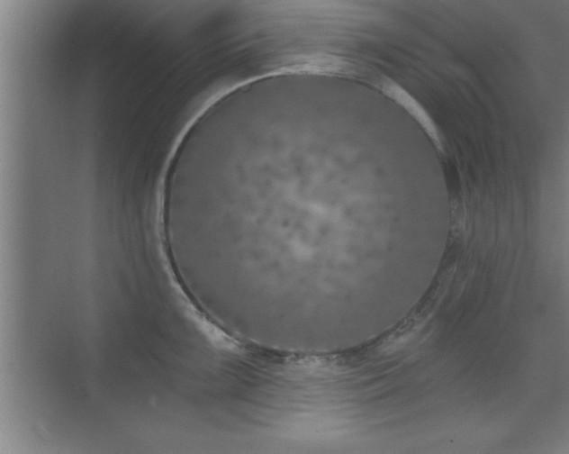 X0000073831099200608101157