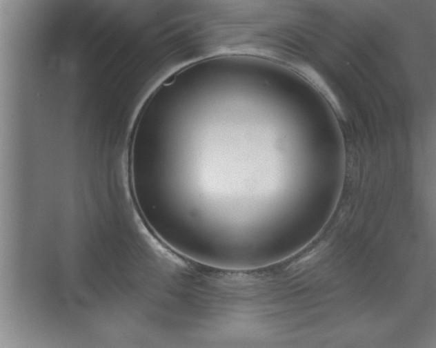 X0000073831100200608101157