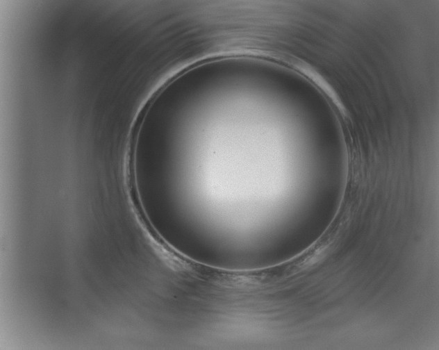 X0000073831101200608101157