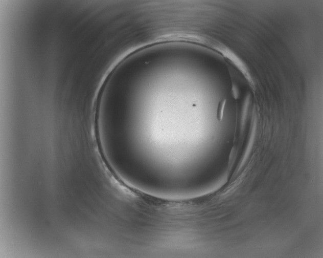 X0000073831102200608101157