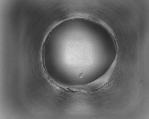 X0000073831104200608101157