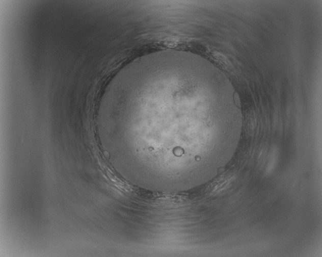 X0000073831105200608101156