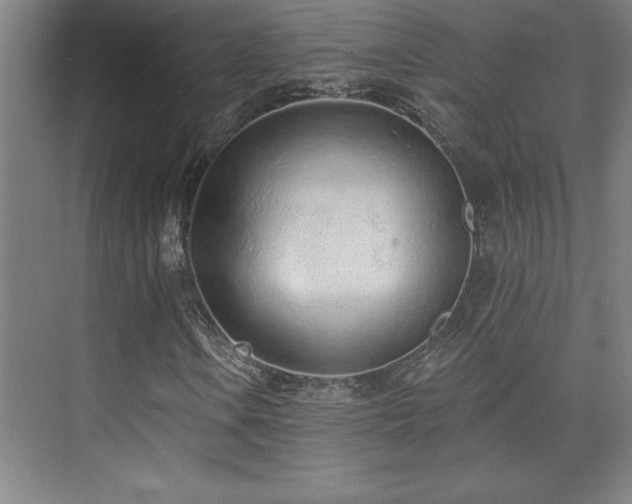 X0000073831106200608101156