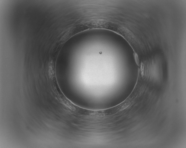 X0000073831107200608101156