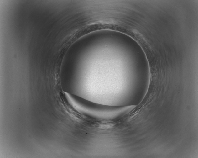 X0000073831110200608101156