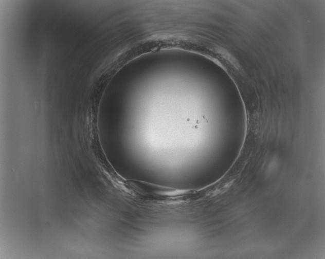 X0000073831111200608101156