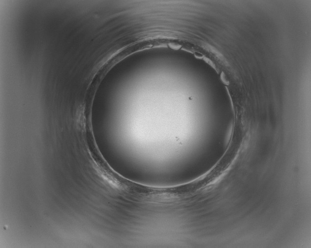 X0000073831113200608101156