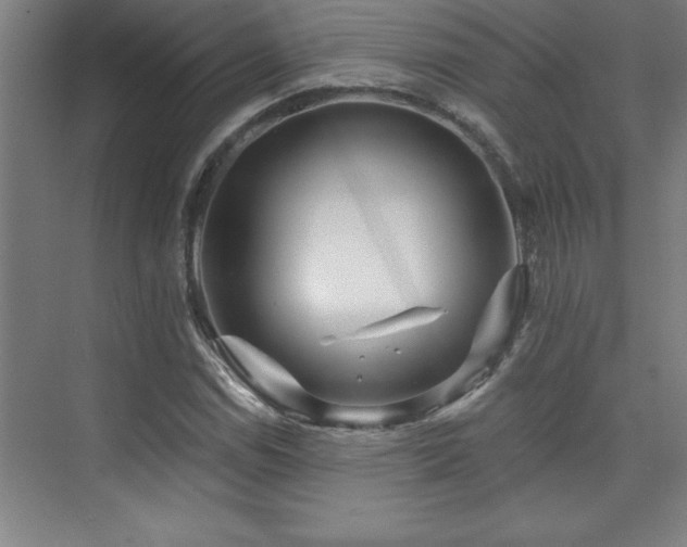 X0000073831114200608101156