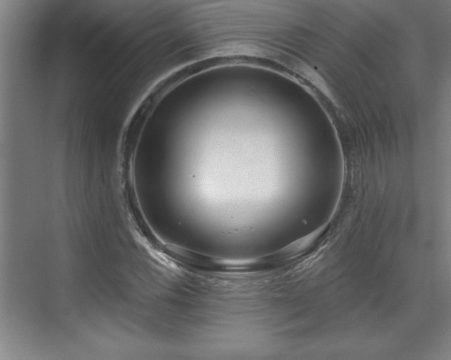 X0000073831116200608101156