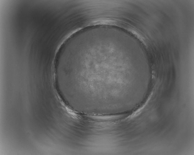 X0000073831117200608101156