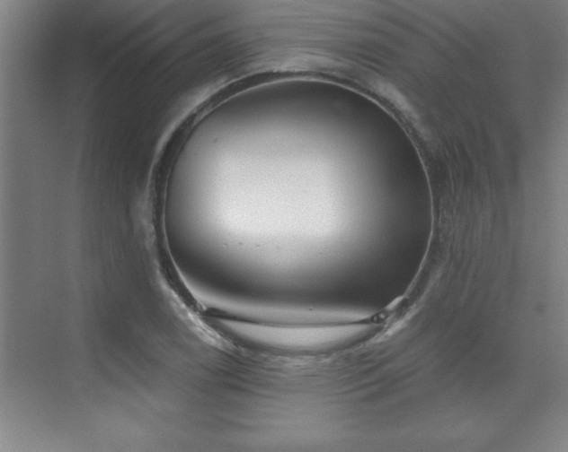 X0000073831122200608101156