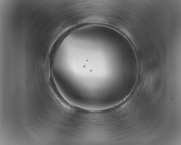 X0000073831123200608101156