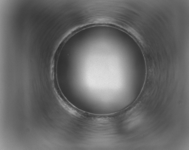 X0000073831126200608101156