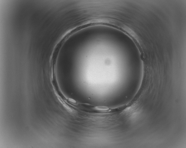 X0000073831127200608101156