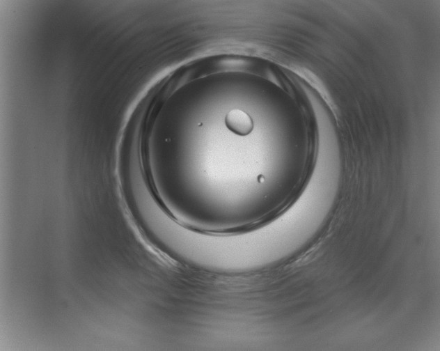 X0000073831128200608101156