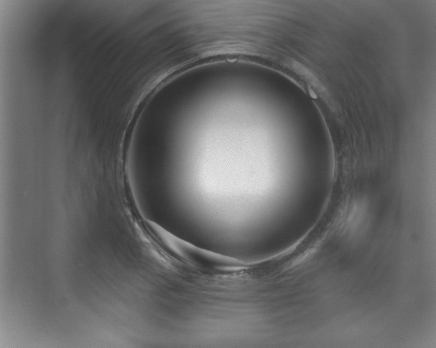 X0000073831129200608101156