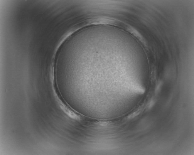 X0000073831130200608101156