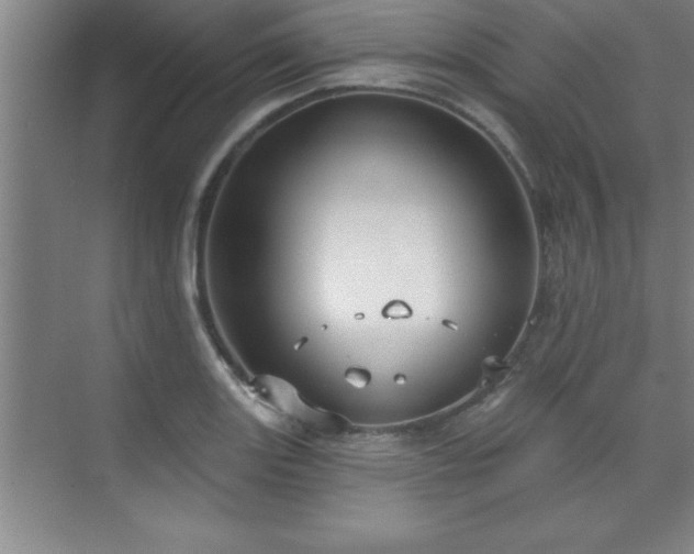 X0000073831131200608101156