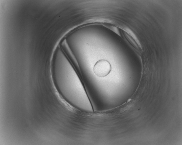 X0000073831132200608101156