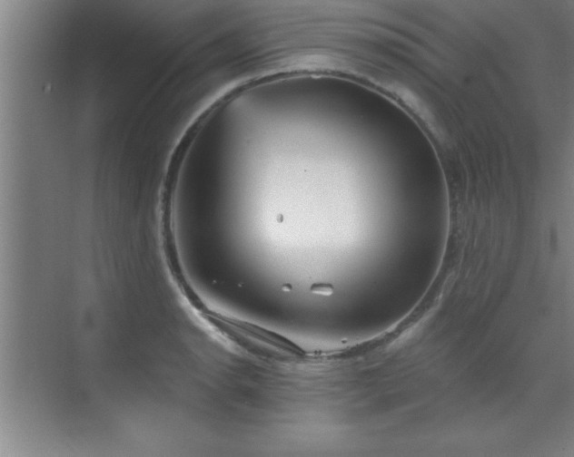 X0000073831134200608101156