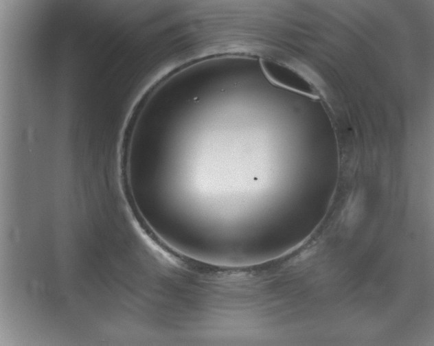 X0000073831135200608101156